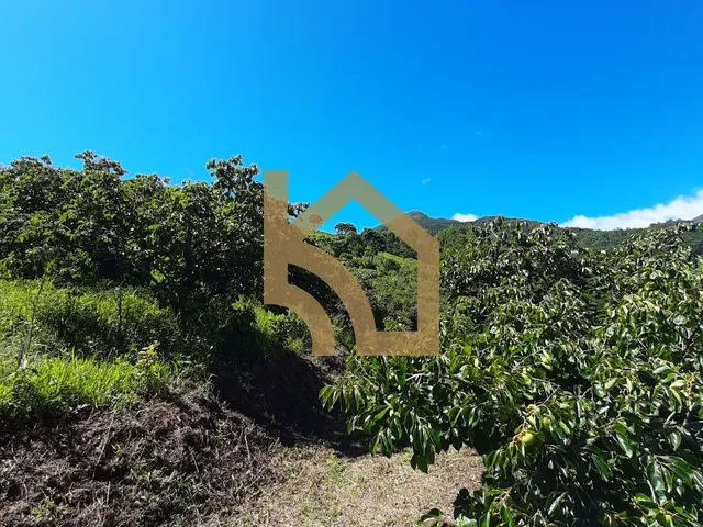 Imagem 11: VENDA DE TERRENO DE 13.500M2 NO CÔNEGO - PERTO DO GARRAFÃO - ESTUDA PERIMUTA E ACEITA