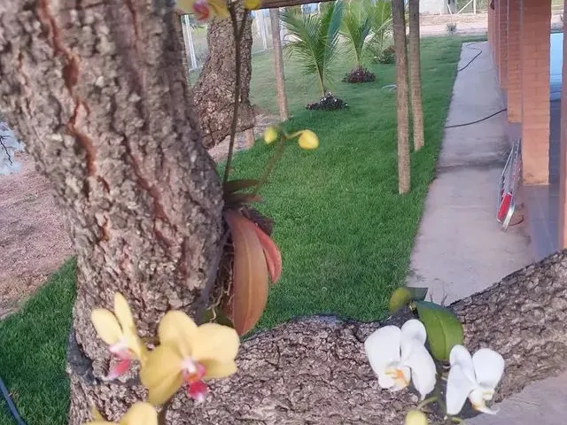 Imagem 7: Lindo Sitio Próximo a Inimutaba