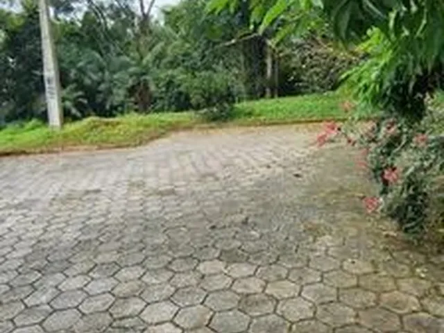 Imagem: Lindos Terrenos Fim de Rua - Bairro Vila