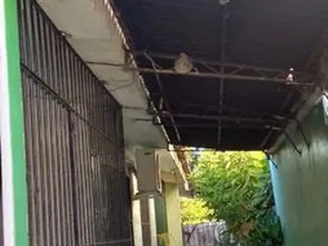 Imagem 2: Casa Proximo do Terminal de Pau Amarelo