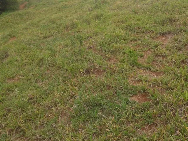 Imagem 9: Vendo Sítio em Brazópolis] [7 hectares com córrego d'água