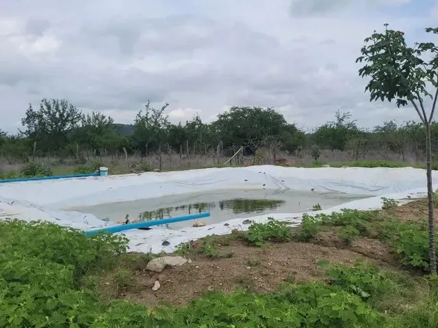 Imagem: Vendo Roça na Carnaiba do Sertão