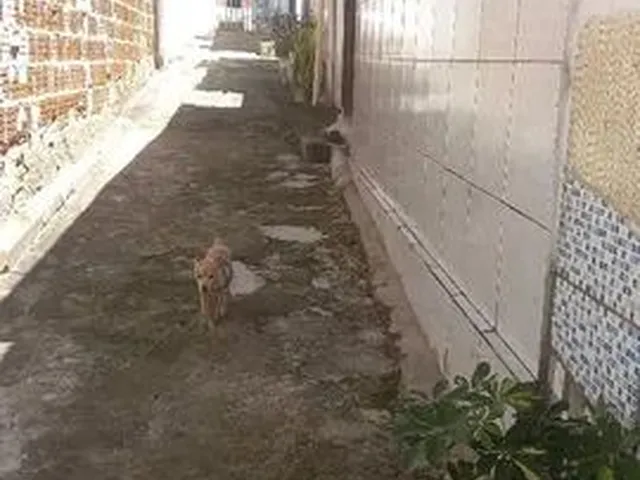 Imagem: Alugo