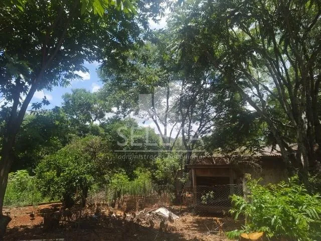 Imagem 7: Chácara à venda, com Casa e Barracão ao Lado Lot. Paris, GUARANIACU - PR
