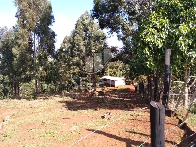 Imagem 2: Chácara à venda, CENTRO, IBEMA - PR