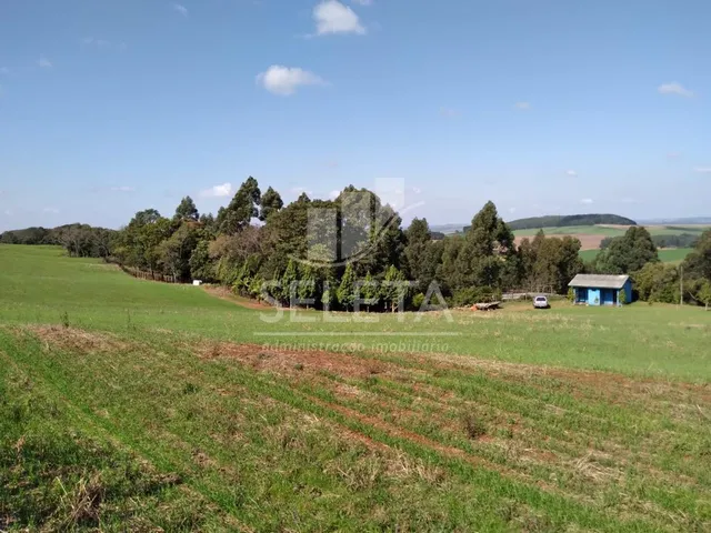 Imagem 4: Chácara à venda, CENTRO, IBEMA - PR