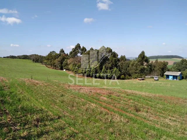 Imagem 5: Chácara à venda, CENTRO, IBEMA - PR