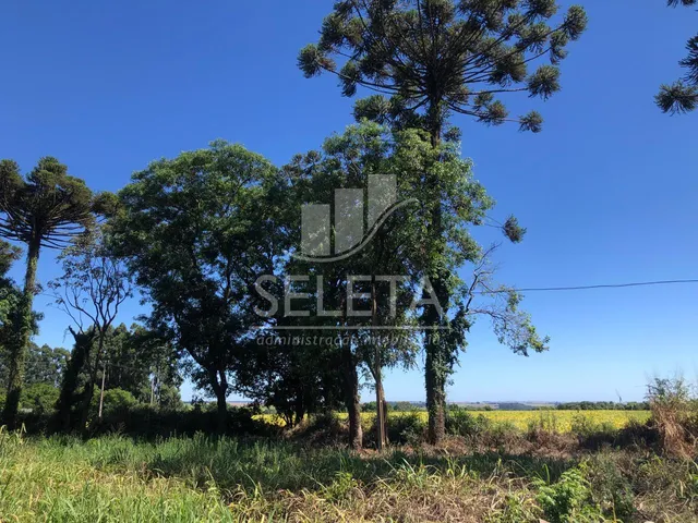 Imagem: Área Industrial à venda, com 230m de frente