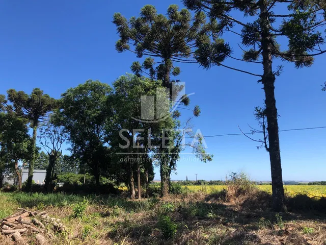 Imagem 2: Área Industrial à venda, com 230m de frente BR 277 e 26.744. CASCAVEL - PR