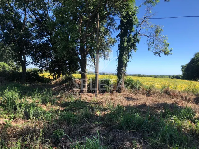 Imagem 6: Área Industrial à venda, com 230m de frente BR 277 e 26.744. CASCAVEL - PR