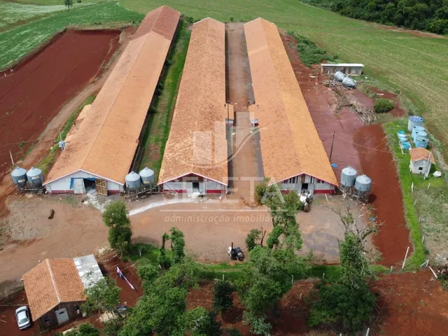 Imagem: Sitio as margens da BR 277 na cidade de