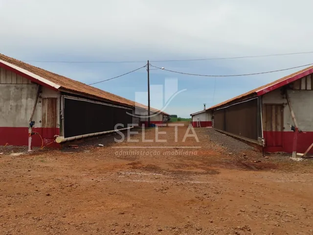 Imagem 13: Sitio as margens da BR 277 na cidade de Ibema