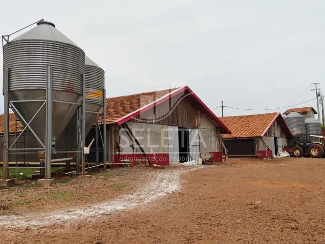Imagem 14: Sitio as margens da BR 277 na cidade de Ibema