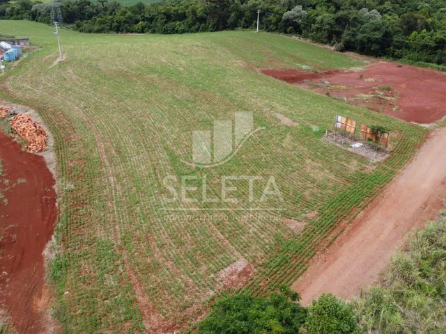 Imagem 3: Sitio as margens da BR 277 na cidade de Ibema