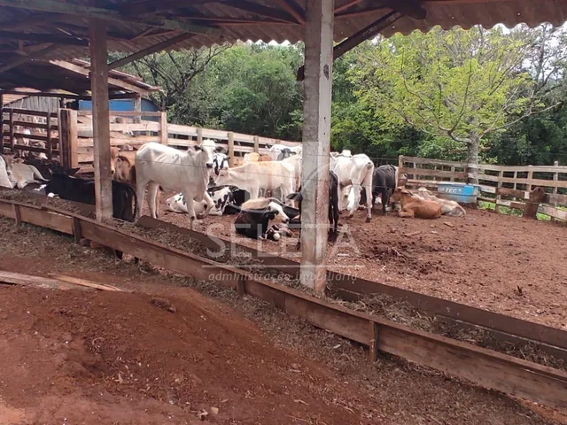 Imagem 8: Sitio as margens da BR 277 na cidade de Ibema