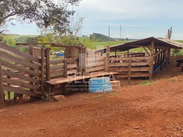 Imagem 7: Sitio as margens da BR 277 na cidade de Ibema