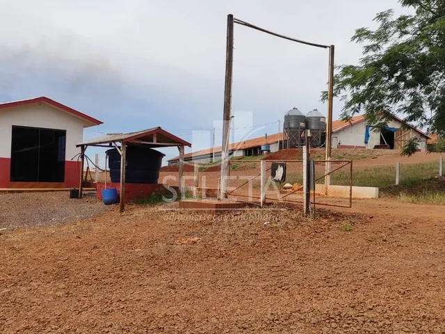 Imagem 11: Sitio as margens da BR 277 na cidade de Ibema