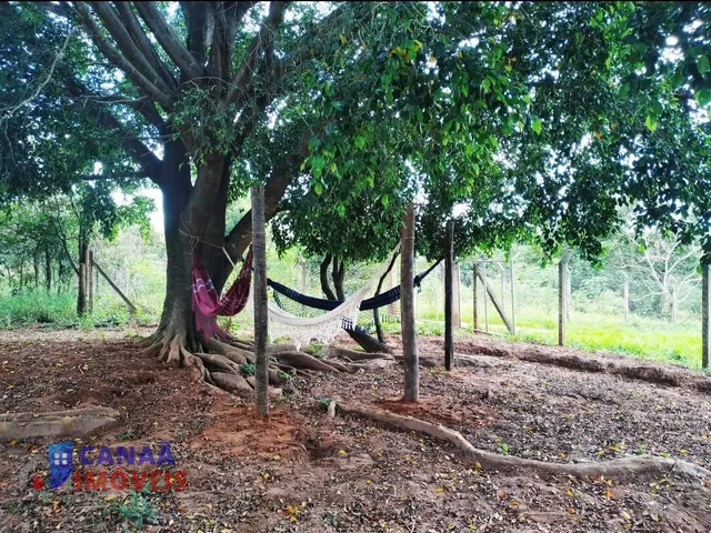 Imagem 8: Chácara Á Venda - Chácaras Douradinho