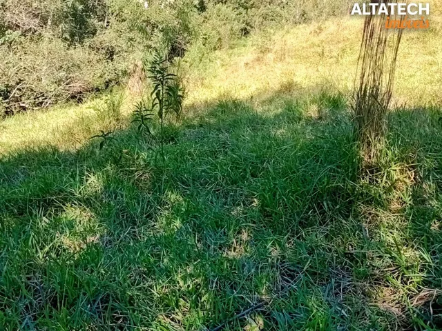 Imagem 2: Venda de Terreno de chácara em Caldas