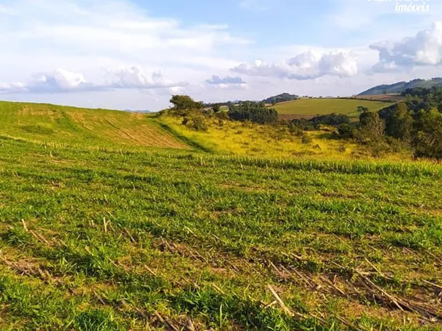 Imagem: Venda de Sítio em Santa Rita de Caldas