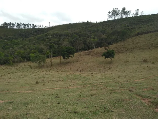 Imagem: Vista e Mata com Nascente a 500M do Asfalto