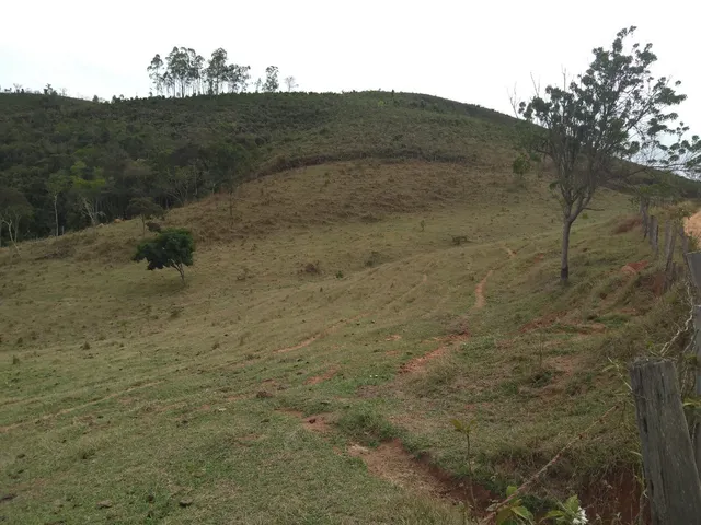 Imagem 15: Vista e Mata com Nascente a 500M do Asfalto