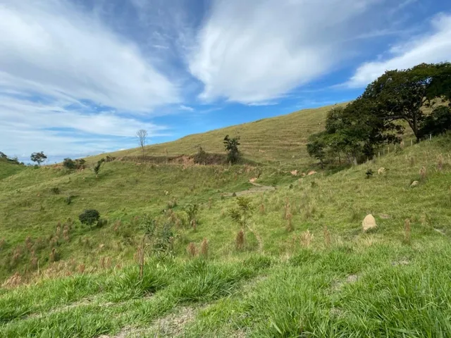 Imagem 12: Vista e Mata com Nascente a 500M do Asfalto