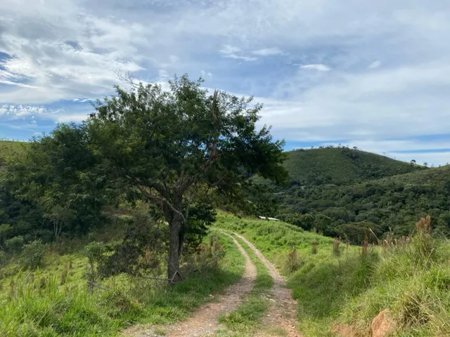 Imagem 11: Vista e Mata com Nascente a 500M do Asfalto