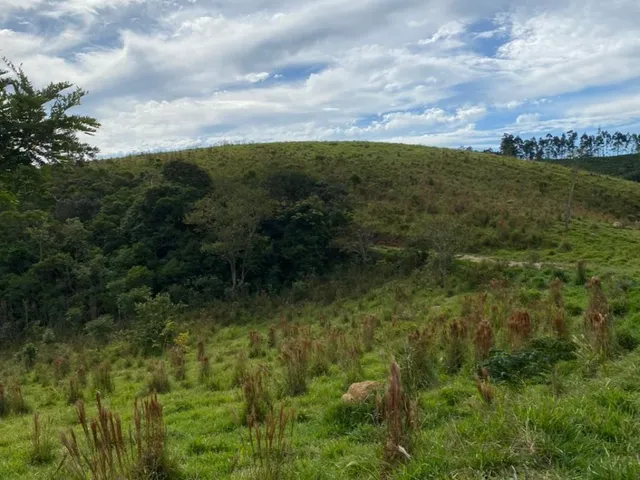 Imagem 10: Vista e Mata com Nascente a 500M do Asfalto