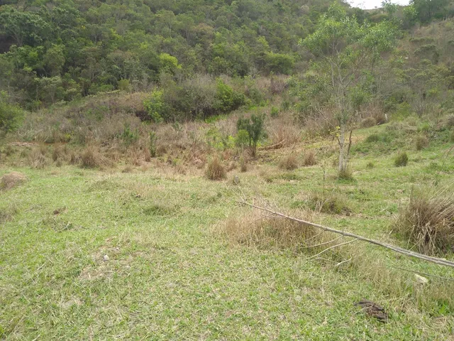 Imagem 4: Vista e Mata com Nascente a 500M do Asfalto