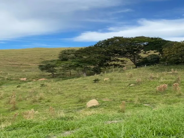 Imagem 9: Vista e Mata com Nascente a 500M do Asfalto