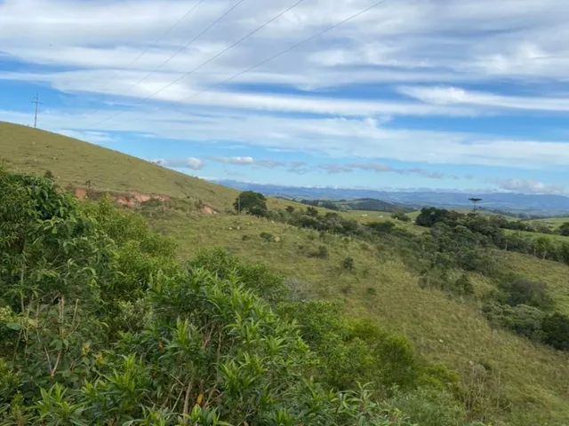 Imagem 7: Vista e Mata com Nascente a 500M do Asfalto