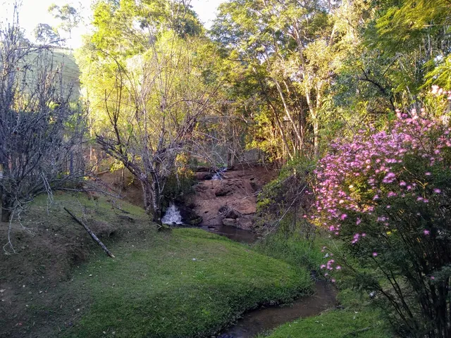 Imagem: Sítio com Muita Água Próximo Ao Asfalto