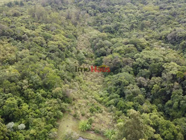 Imagem 12: Sítio a venda com 6,7 hectares em Taquara