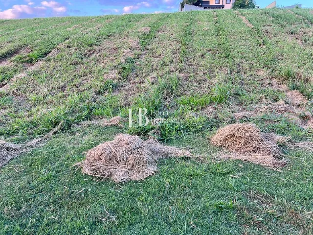 Imagem 3: Terreno para venda com 800 m2 no Condomínio Fazenda Serra Azul -...