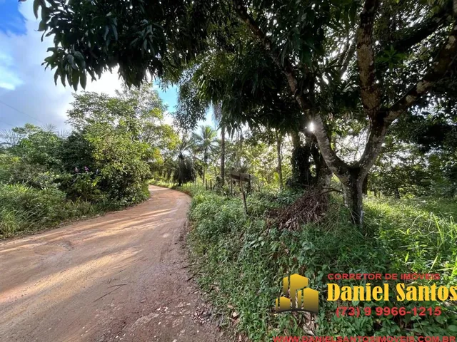 Imagem: AREA RESIDENCIAL em ITACARÉ - BA, Jeribucaçu