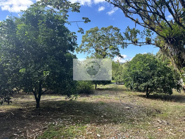 Imagem: Terreno com 900 m2, com contrato, região