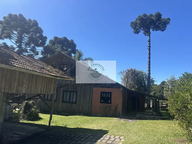Imagem: Sítio com 32.000 m2, escriturado, com uma