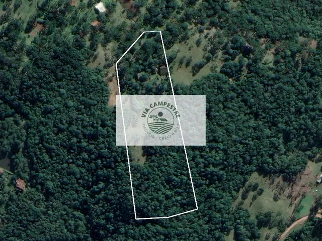 Imagem 7: Sítio com 32.000 m2, escriturado, com uma residência e chalé, possui lago, próximo a