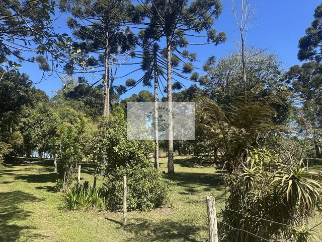 Imagem 6: Sítio com 32.000 m2, escriturado, com uma residência e chalé, possui lago, próximo a