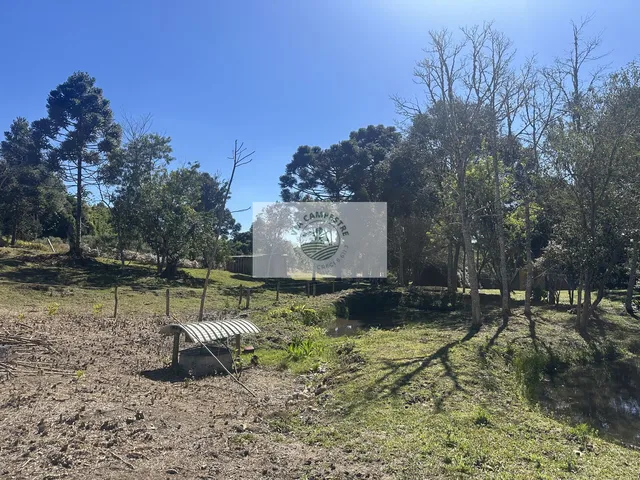 Imagem 16: Sítio com 32.000 m2, escriturado, com uma residência e chalé, possui lago, próximo a