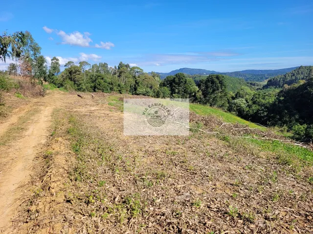 Imagem 9: Sítio com 81.949 m², escriturado, aceita permuta, apenas 1.500 metros do asfalto