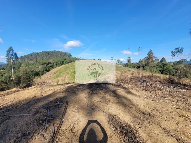 Imagem 14: Sítio com 81.949 m², escriturado, aceita permuta, apenas 1.500 metros do asfalto