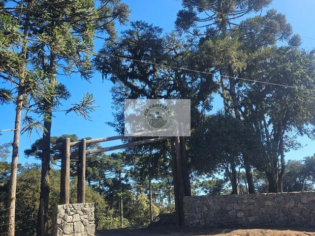 Imagem: Terreno em condominio de chacaras em Campo