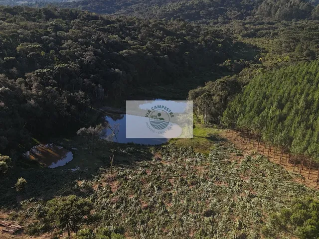 Imagem 5: Terreno em condominio de chacaras em Campo Alegre, Bateias de Baixo, com 20.022 m2
