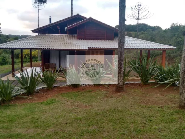 Imagem: Sítio com 11.000 m², escriturado, residência
