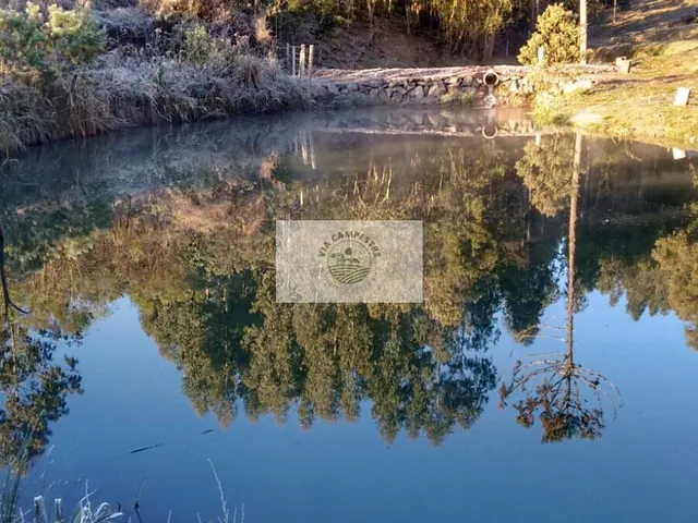 Imagem 13: Sítio com 11.000 m², escriturado, residência com 3 dormitórios, terreno com lago