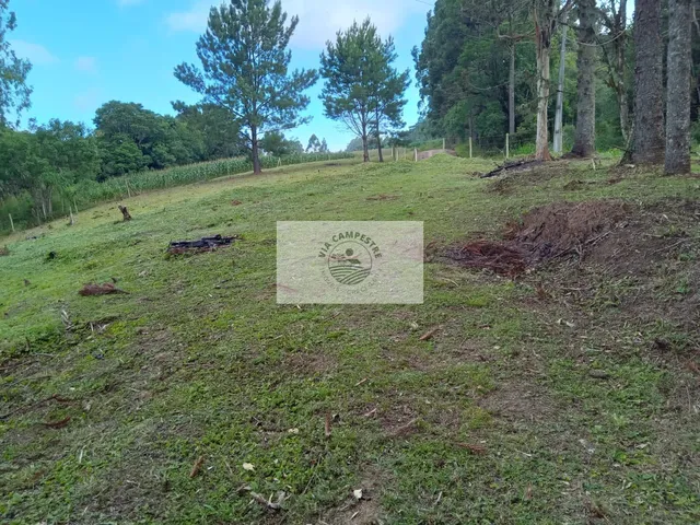Imagem 7: Sítio em Bateias de Baixo, com 19.991 m², com riacho e lugar alto para construção