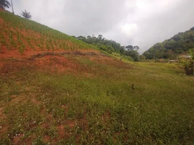 Imagem: Sitio Marechal Floriano 43 Mil Metros Quadrados