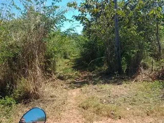 Imagem: Vendo Um Lote de Terra